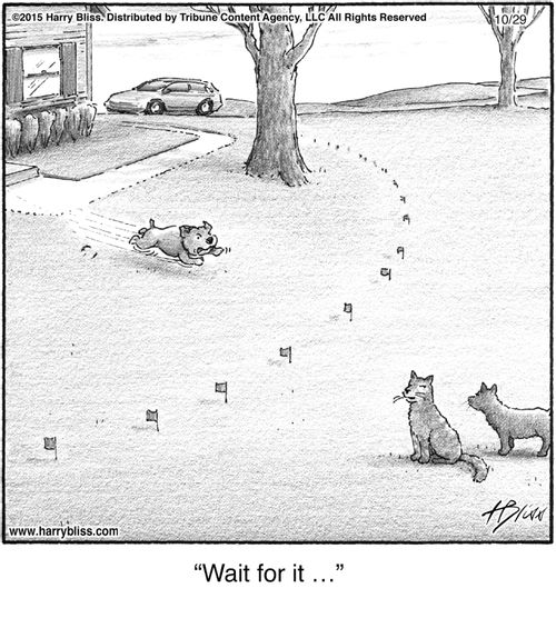 "Wait for it …"