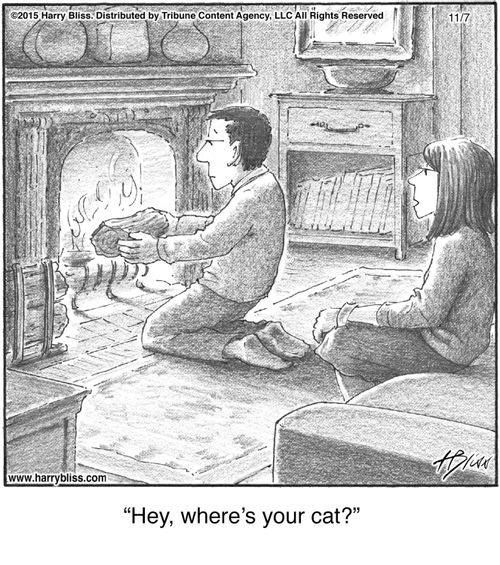 "Hey, where’s your cat?"