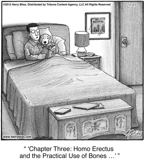 "Chapter three: Homo erectus and the practical use of bones..."