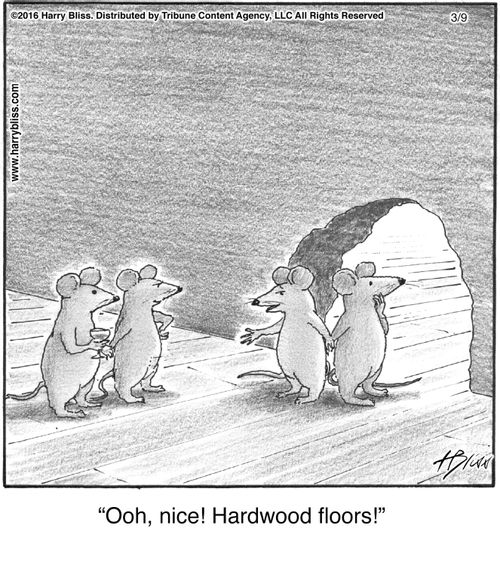 "Ooh, nice! Hardwood floors!"