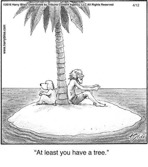 "At least you have a tree."
