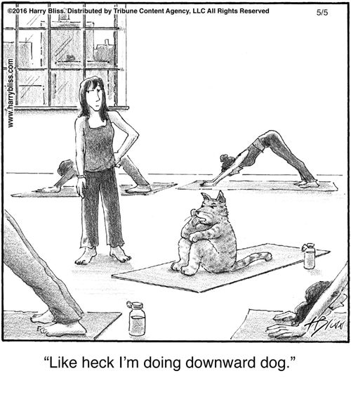 "Like heck I'm doing downward dog."