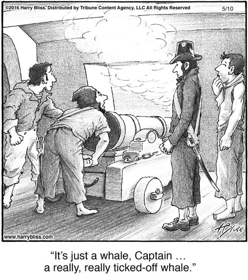 "It's just a whale, Captain … a really, really ticked-off whale."