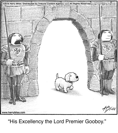 "His Excellency the Lord Premier Gooboy."