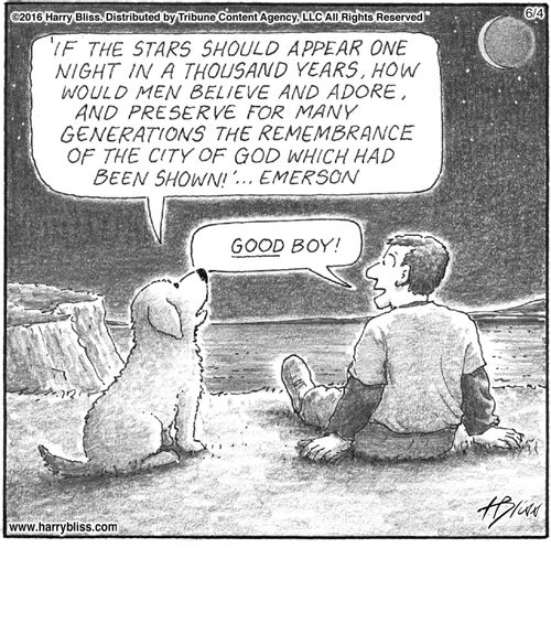 "If the stars should appear one night in a thousand years, how would men believe and adore, and preserve for many generations the remembrance of the city of God which had been shown! … Emerson"  "Good boy!"