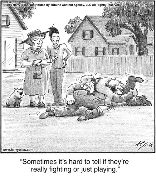 "Sometimes it’s hard to tell if they’re really fighting or just playing."