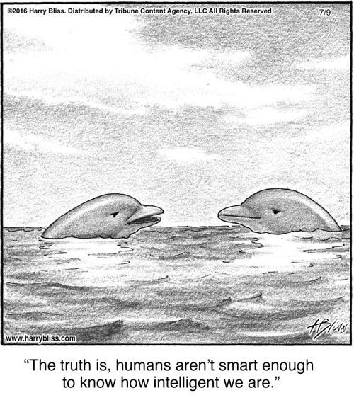 "The truth is, humans aren’t smart enough to know how intelligent we are."
