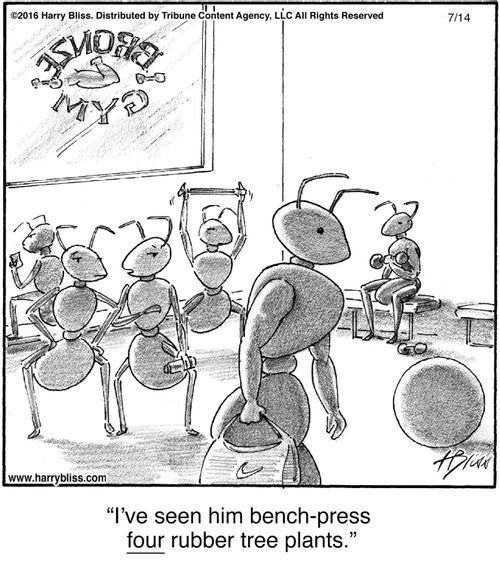 "I've seen him bench-press four rubber tree plants."