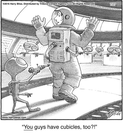 "You guys have cubicles, too?!"