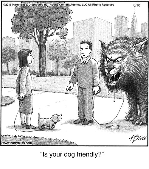 "Is your dog friendly?"