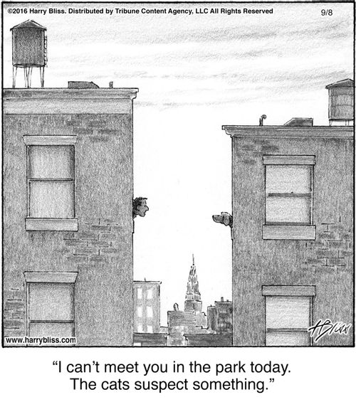 "I can't meet you in the park today. The cats suspect something."