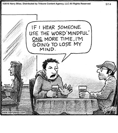 "If I hear someone use the word 'mindful' one more time, I'm going to lose my mind."