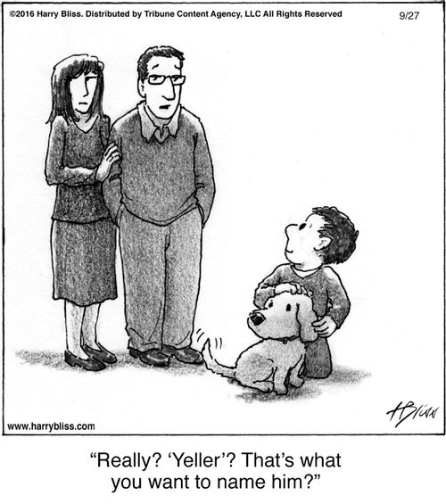 "Really? 'Yeller'? That's what you want to name him?"