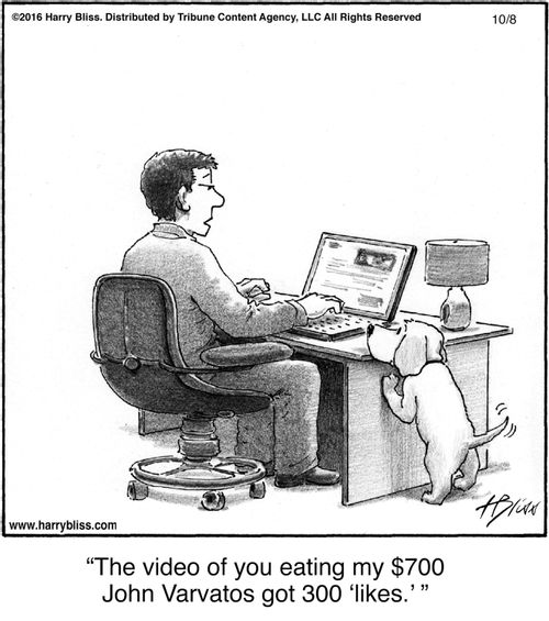 "The video of you eating my $700 John Varvatos got 300 'likes.'"