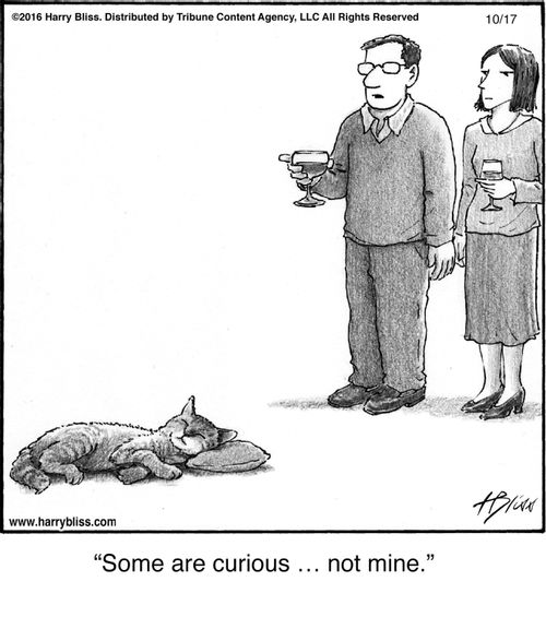 "Some are curious … not mine."