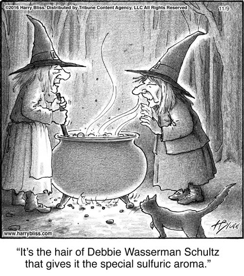 "It's the hair of Debbie Wasserman Schultz that gives it the special sulfuric aroma."
