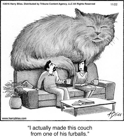 "I actually made this couch from one of his furballs."