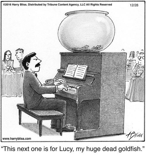 "This next one is for Lucy, my huge dead goldfish."