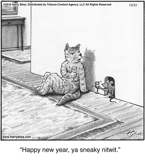 "Happy new year, ya sneaky nitwit."