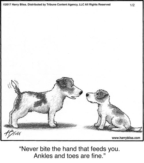 "Never bite the hand that feeds you. Ankles and toes are fine."