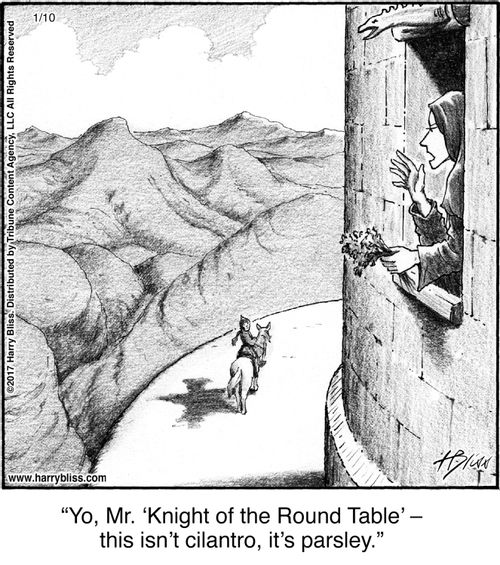 "Yo, Mr. 'Knight of the Round Table' — this isn’t cilantro, it’s parsley."