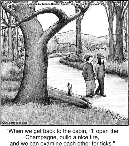 "When we get back to the cabin, I’ll open the Champagne, build a nice fire, and we can examine each other for ticks."
