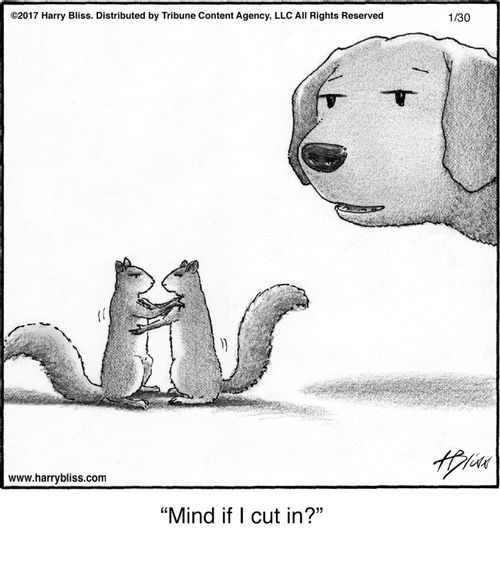 "Mind if I cut in?"