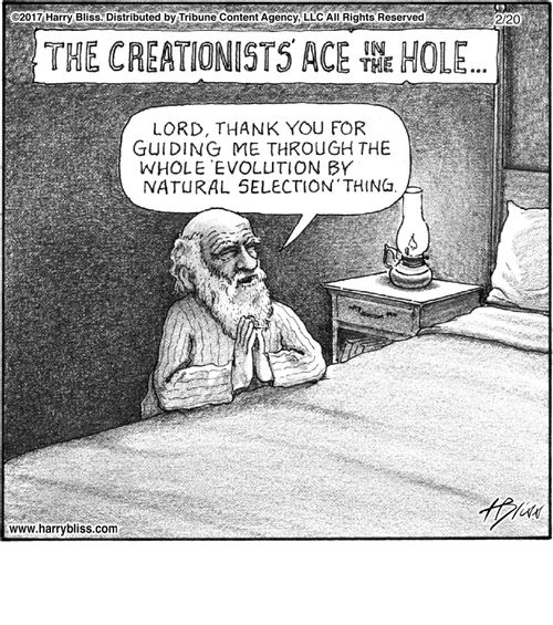 "Lord, thank you for guiding me through the whole 'evolution by natural selection' thing."