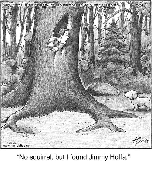 "No squirrel, but I found Jimmy Hoffa."