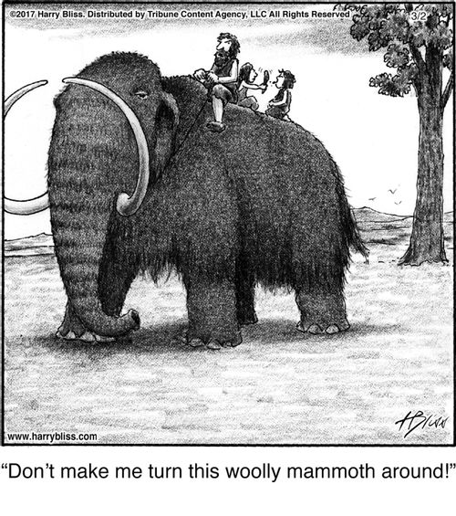 "Don't make me turn this woolly mammoth around!"