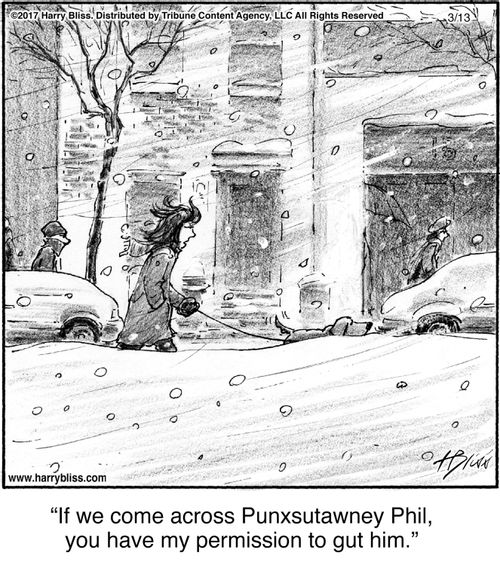 "If we come across Punxsutawney Phil, you have my permission to gut him."