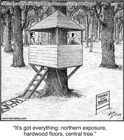 "It's got everything: northern exposure, hardwood floors, central tree."