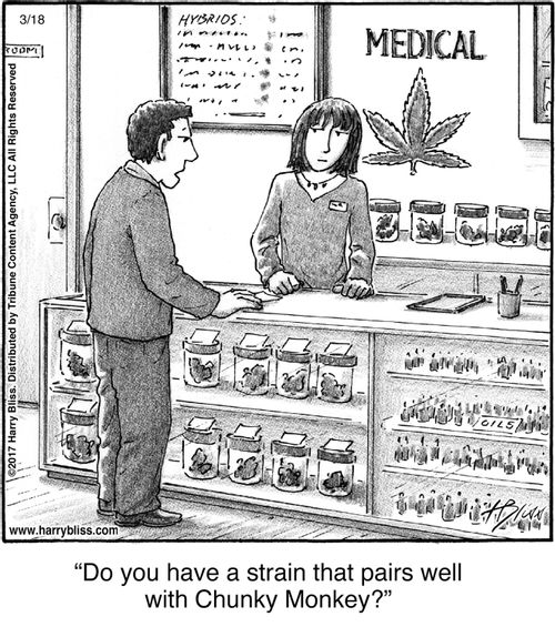 "Do you have a strain that pairs well with Chunky Monkey?"