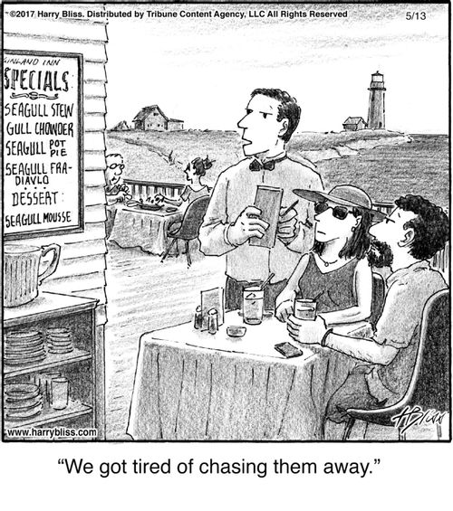 "We got tired of chasing them away."