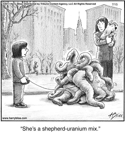 "She’s a shepherd-uranium mix."