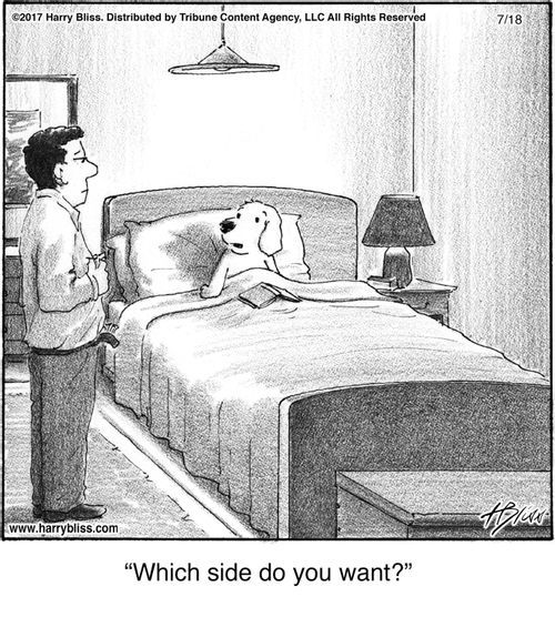 "Which side do you want?"