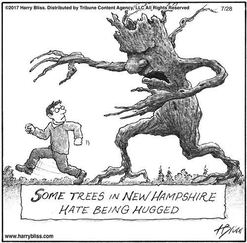 "Some trees in New Hampshire hate being hugged."