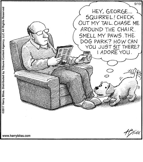 "Hey, George… Squirrel! Check out my tail. Chase me around the chair. Smell my paws. The dog park? How can you just sit there? I adore you."