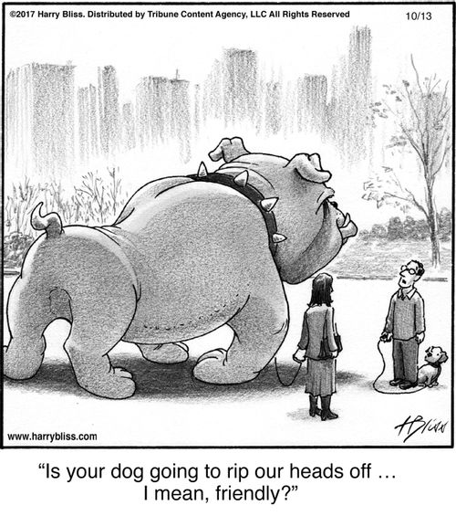 "Is your dog going to rip our heads off … I mean, friendly?"