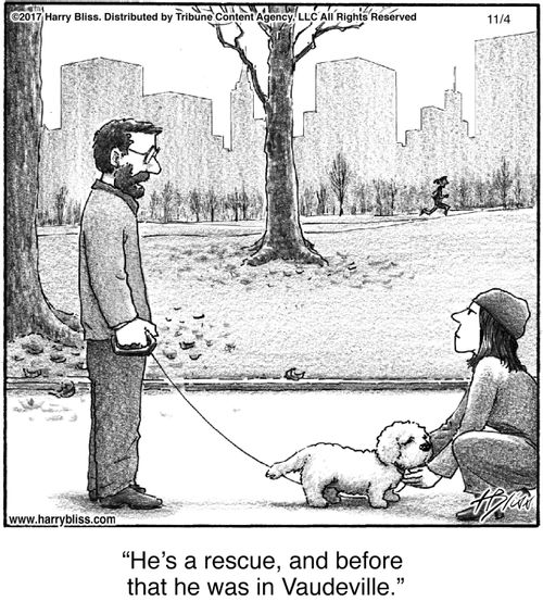 "He's a rescue, and before that he was in Vaudeville."