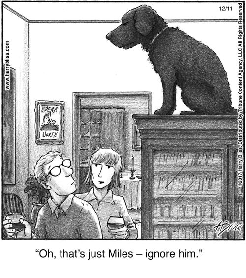 "Oh, that’s just Miles – ignore him."