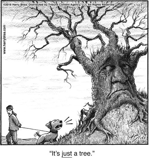 "It's just a tree."