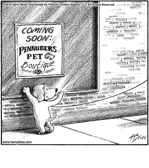 "Coming soon: Pennubers Pet Boutique"