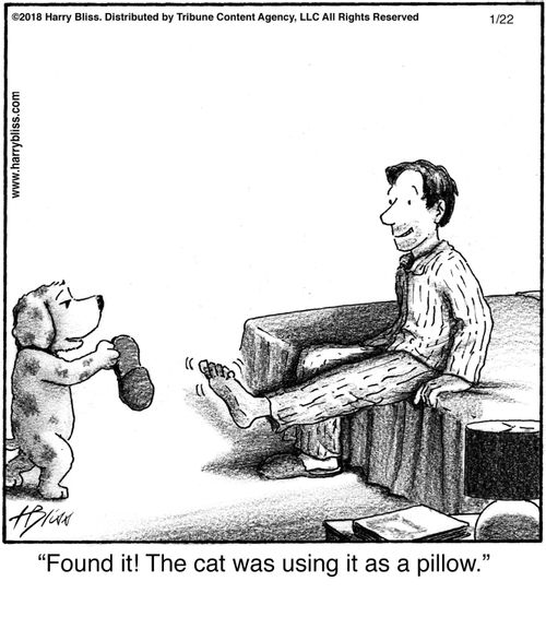 "Found it! The cat was using it as a pillow."
