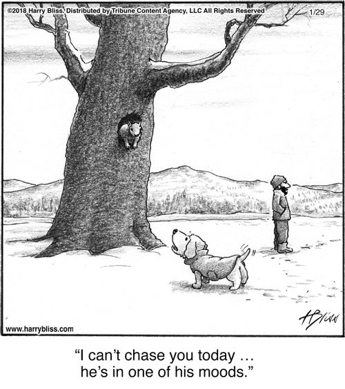 "I can’t chase you today … he’s in one of his moods."