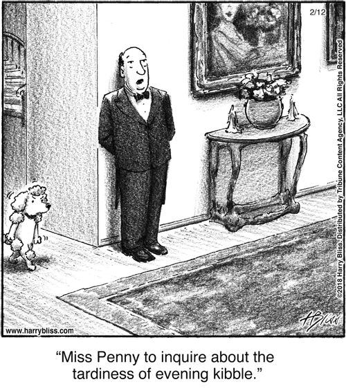 "Miss Penny to inquire about the tardiness of evening kibble."