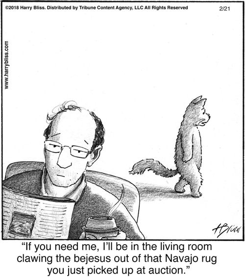 "If you need me, I’ll be in the living room clawing the bejesus out of that Navajo rug you just picked up at auction."