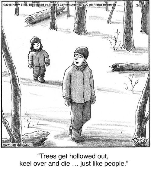 "Trees get hollowed out, keel over and die … just like people."