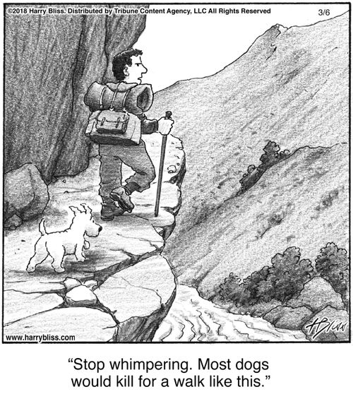 "Stop whimpering. Most dogs would kill for a walk like this."