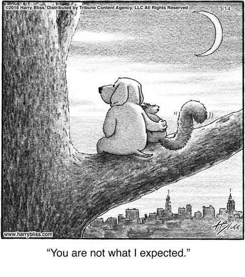 "You are not what I expected."